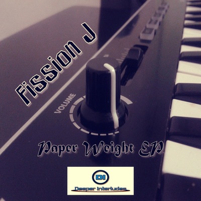 Paper Weight - Single