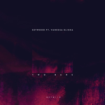 Two Bars (feat. Vanessa Elisha) - Single