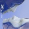 Clear (feat. Woodkid) - Panteros666 lyrics