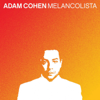 Happiness - Adam Cohen