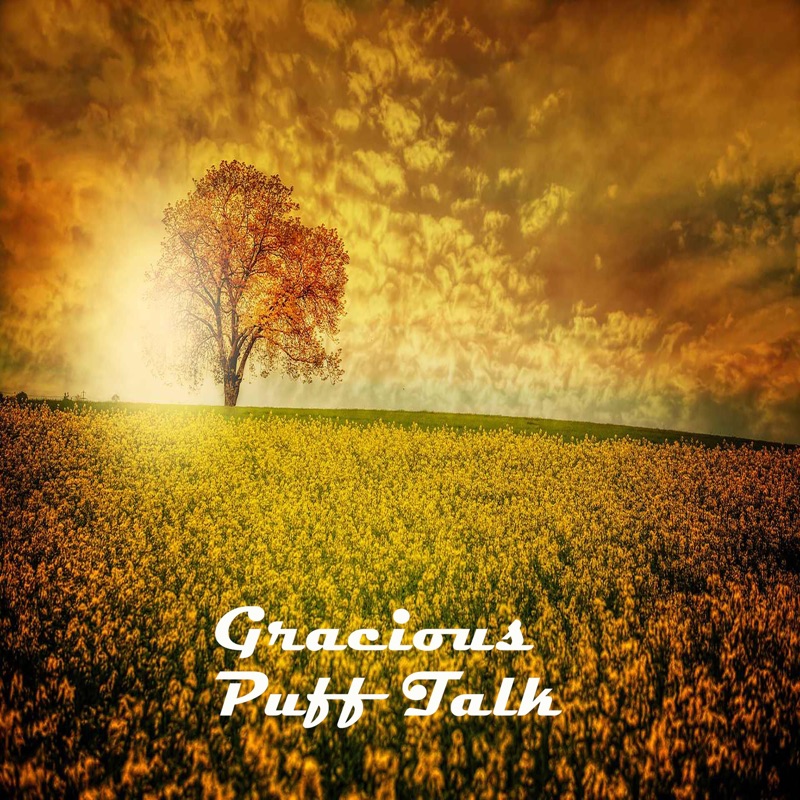 Album art for Puff Talk