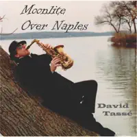 Moonlite Over Naples — David Tasse
