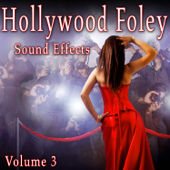 Hollywood Foley Sound Effects, Vol. 3 - The Hollywood Edge Sound Effects Library