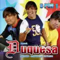 Vai Voltar