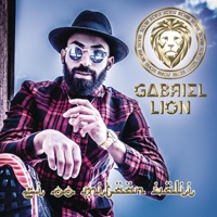 Ei oo mitään välii - Single - Gabriel Lion