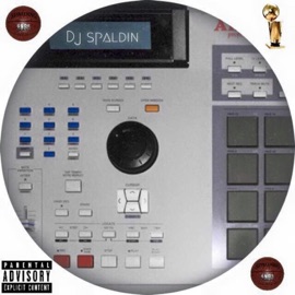 Flicka Dj Spaldin