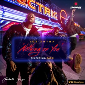 Nothing On You (feat. Farai) Joe Shyna