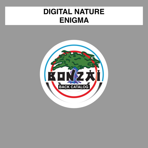 Enigma - Single