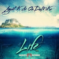 Life - Single - Agent K