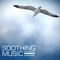 Calming Music - Soothing Music Ensamble lyrics