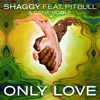 Only Love (feat. Pitbull & Gene Noble) - Single, 2015