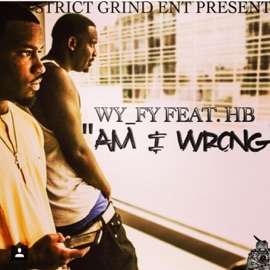Am I Wrong (feat. Hb) Wy_Fy