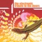 Break On Through - Bug Funny Foundation lyrics