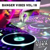 David Chevalier Shine On (feat. Will Diamond) Banger Vibes, Vol. 18