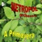 Pensiero d'amore - Orchestra Metropol lyrics