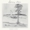 Naze - Spinning Motion lyrics