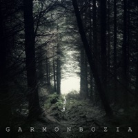 Machinista - Dark Heart of Me