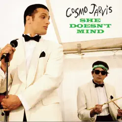 She Doesn't Mind - Single - Cosmo Jarvis