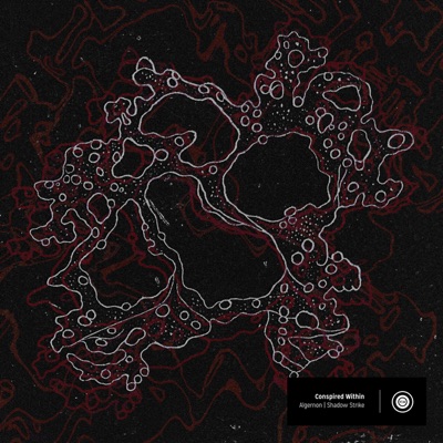 Conspired Within - Single