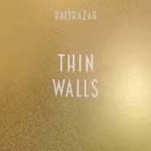 Thin Walls cover