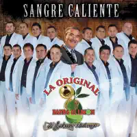 A Poco No — La Original Banda El Limón de Salvador Lizárraga