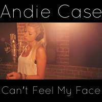 Can't Feel My Face - Single - Andie Case