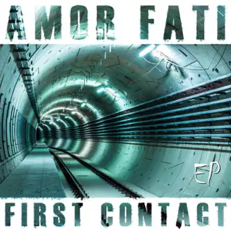 Next Level by Amor Fati song reviws