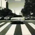 Yo nunca tengo razón