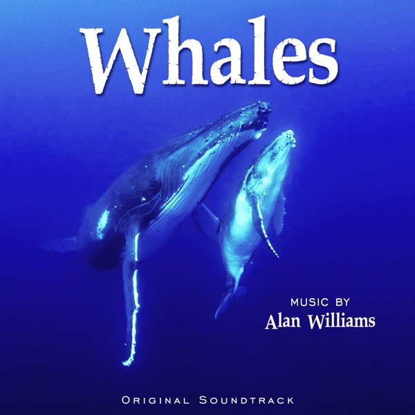 Sperm Whale