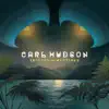 Carl Hudson - Red & Yellow Frog