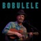 Vanilla (feat. Ian Ballard & Mike MIller) - Bobulele lyrics