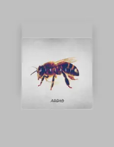 Dengarkan ARDID, tonton video musik, baca bio, lihat tanggal tur & lainnya!