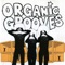 Barefoot - Organic Grooves lyrics