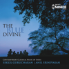 The Blue Divine - Sikkil Gurucharan & Anil Srinivasan
