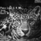 Jaguar (BassTi M Remix) - K-Mel & Pablo Logic lyrics