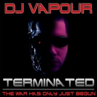 Terminated / Dive - Single - DJ Vapour & Niskala