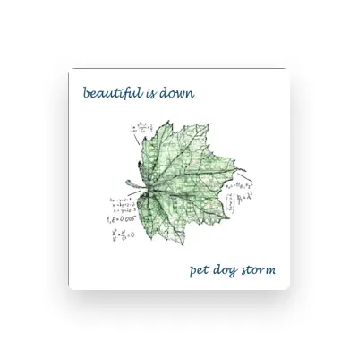 Listen to Pet Dog Storm, watch music videos, read bio, see tour dates & more!