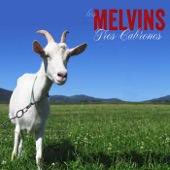 Melvins - City Dump