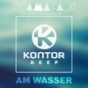AM WASSER (RADIO EDIT) [FEAT. JEDEN TAG SILVESTER]