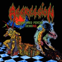 Aggression - Metal Slaughter