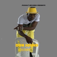 Don Sound (feat. Dougie Conscious) [Remix] - Single - Ninjaman