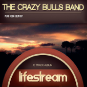 Lifestream (Pure Rock Country) - The Crazy Bulls Band