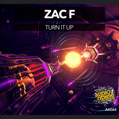 Turn It Up - Single
