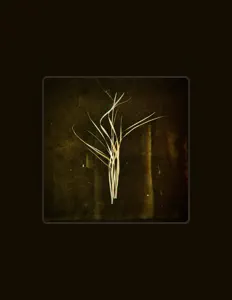 Lumisokeaを聴いたり、ミュージックビデオを鑑賞したり、経歴やツアー日程などを確認したりしましょう！