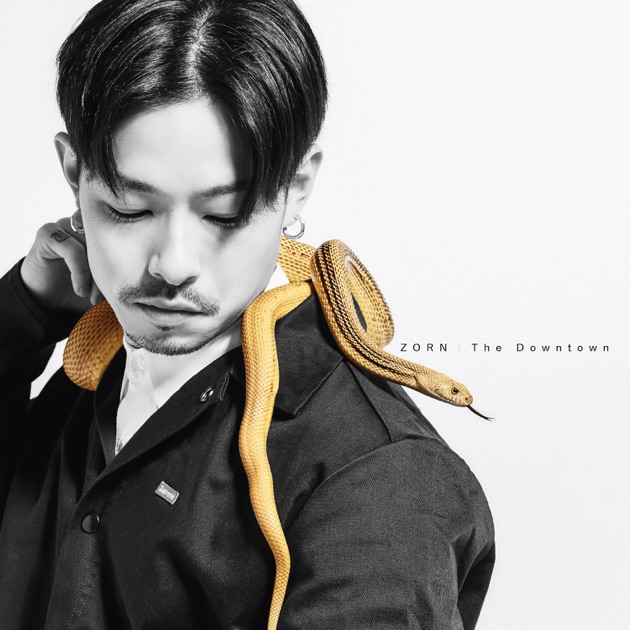 Backbone (feat. 般若,NORIKIYO) - ZORNの曲 - Apple Music
