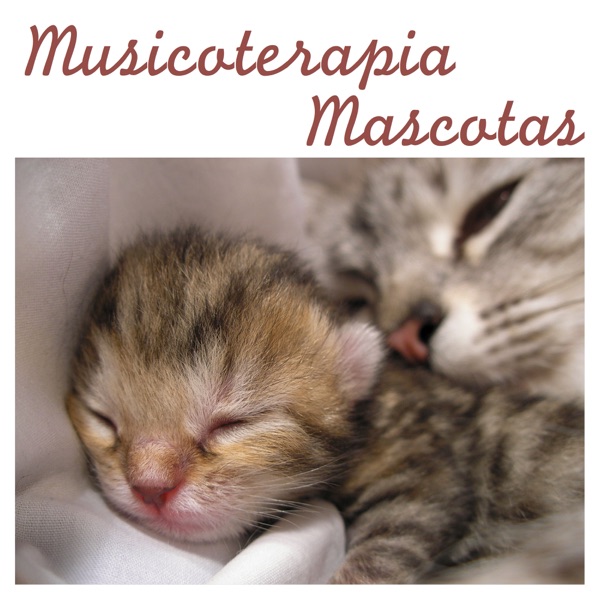 Músicoterapia Mascotas: Música para Relajar Perros y Música para Gatos Calmante