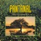 Pantanal artwork