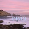 Dindi (Lounge Mix) - Single