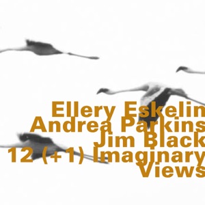 12(+1) Imaginary Views [feat. Andrea Parkins & Jim Black]