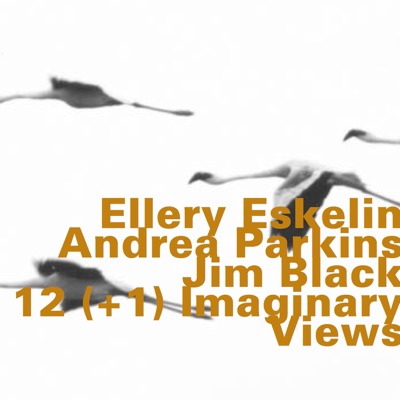 12(+1) Imaginary Views [feat. Andrea Parkins & Jim Black]